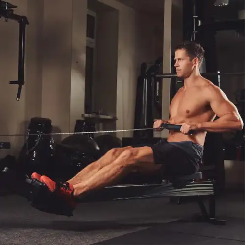 Όργανα Γυμναστικής